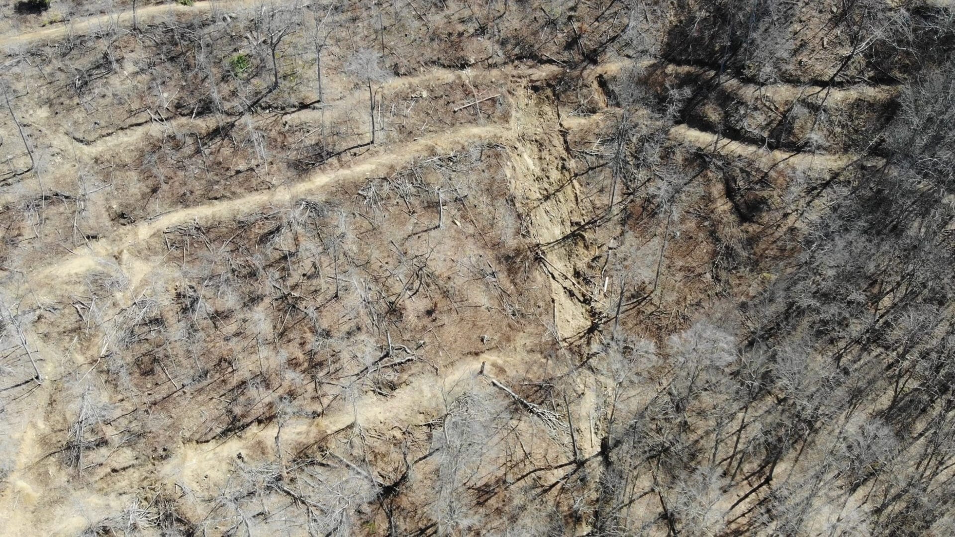 Lower Jacks Branch Unit 17 March 2021 A