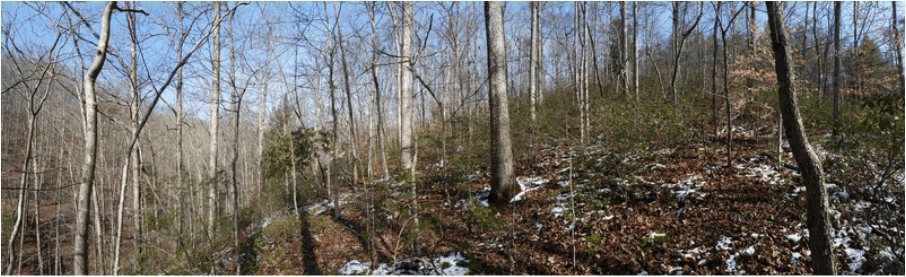 Beaver Creek Watershed