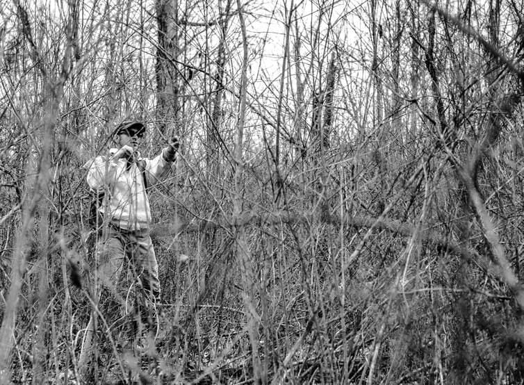 Jim Scheff measuring basal area in a briar-choked former pine stand in the Greenwood project area.
This stand was not proposed for management in the project.