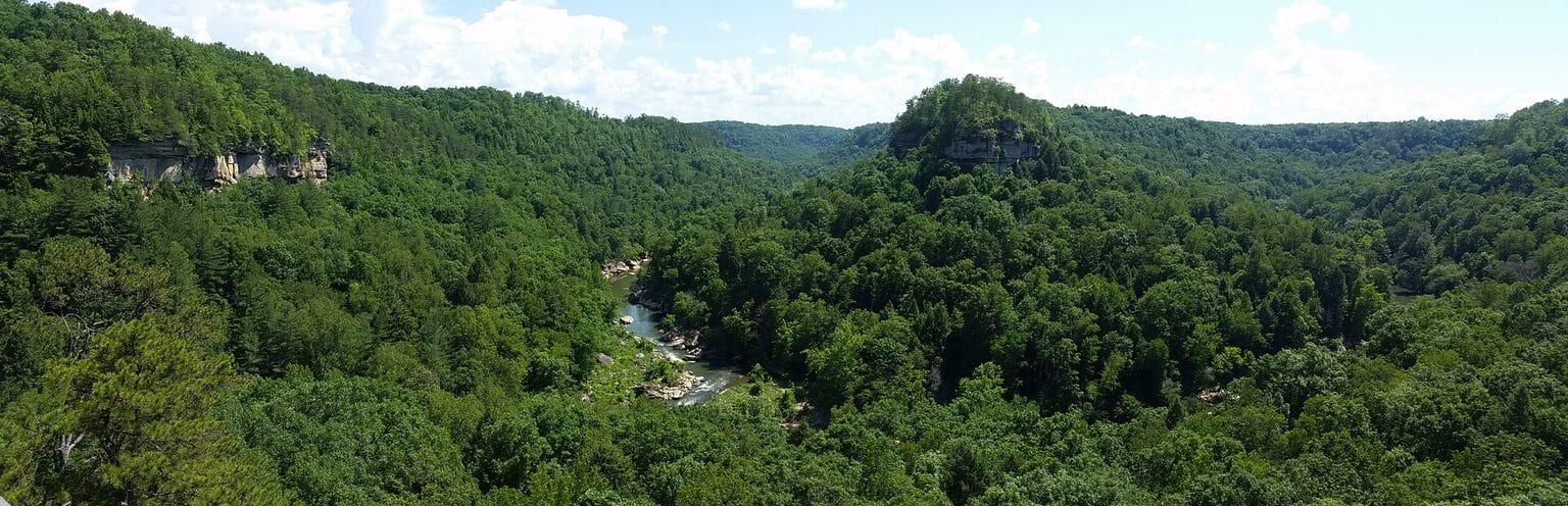 Overlook on the Rockcastle River in the Pine Creek project area