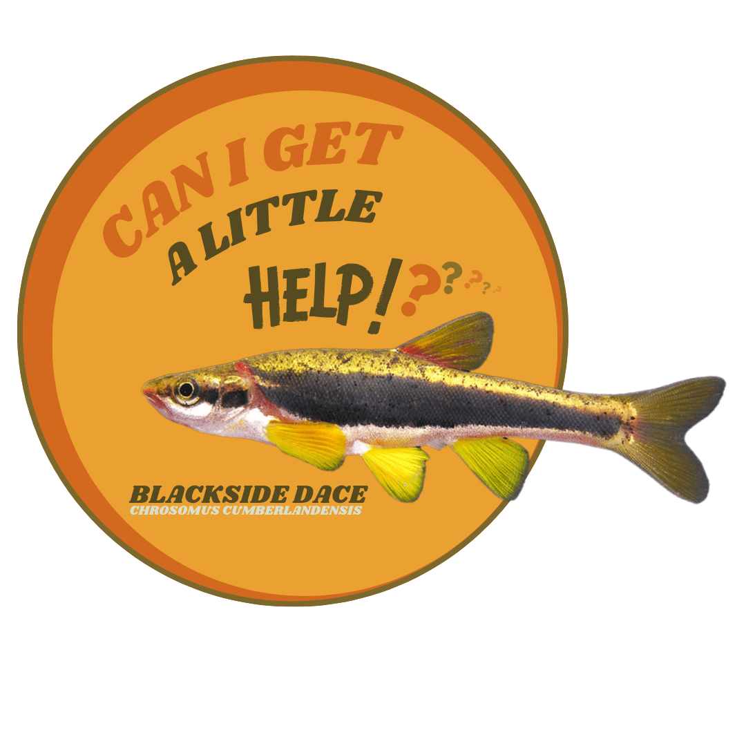 Jellico Comment Period Kentucky Heartwood