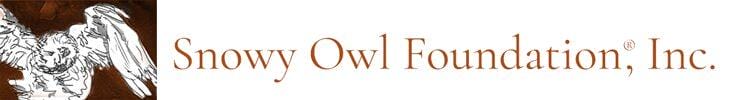 snowy owl foundation