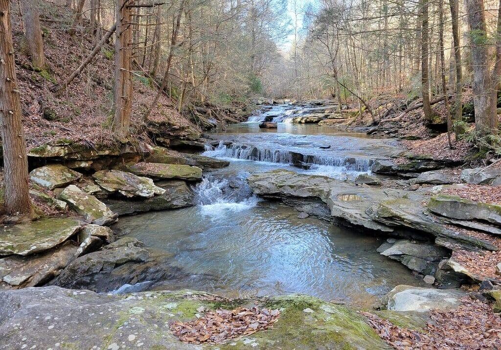 Jellico Creek